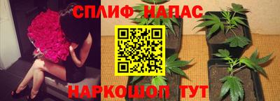 соль курить ск Новозыбков
