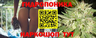 соль курить ск Новозыбков