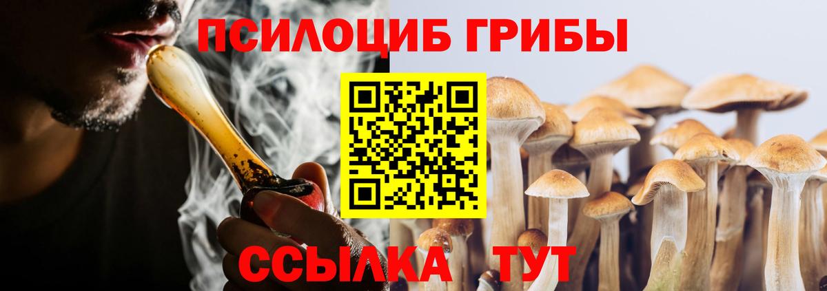 Псилоцибиновые грибы прущие грибы  Вход с VPN  Южноуральск 