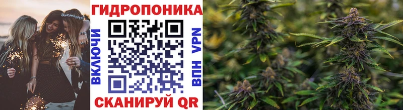купить наркоту  Южноуральск  Марихуана индика 